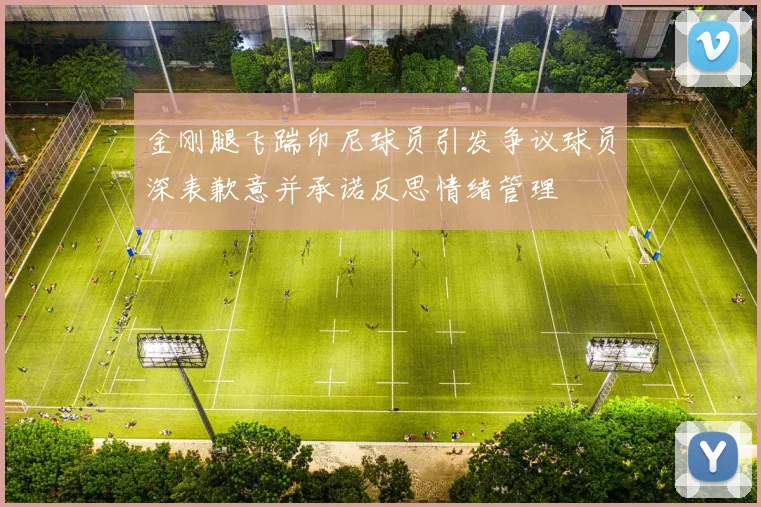 金刚腿飞踹印尼球员引发争议球员深表歉意并承诺反思情绪管理